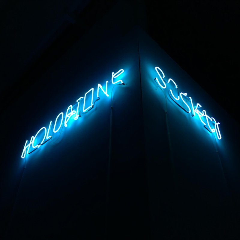Dominique_Koch_Holobiont_Society_01@3x